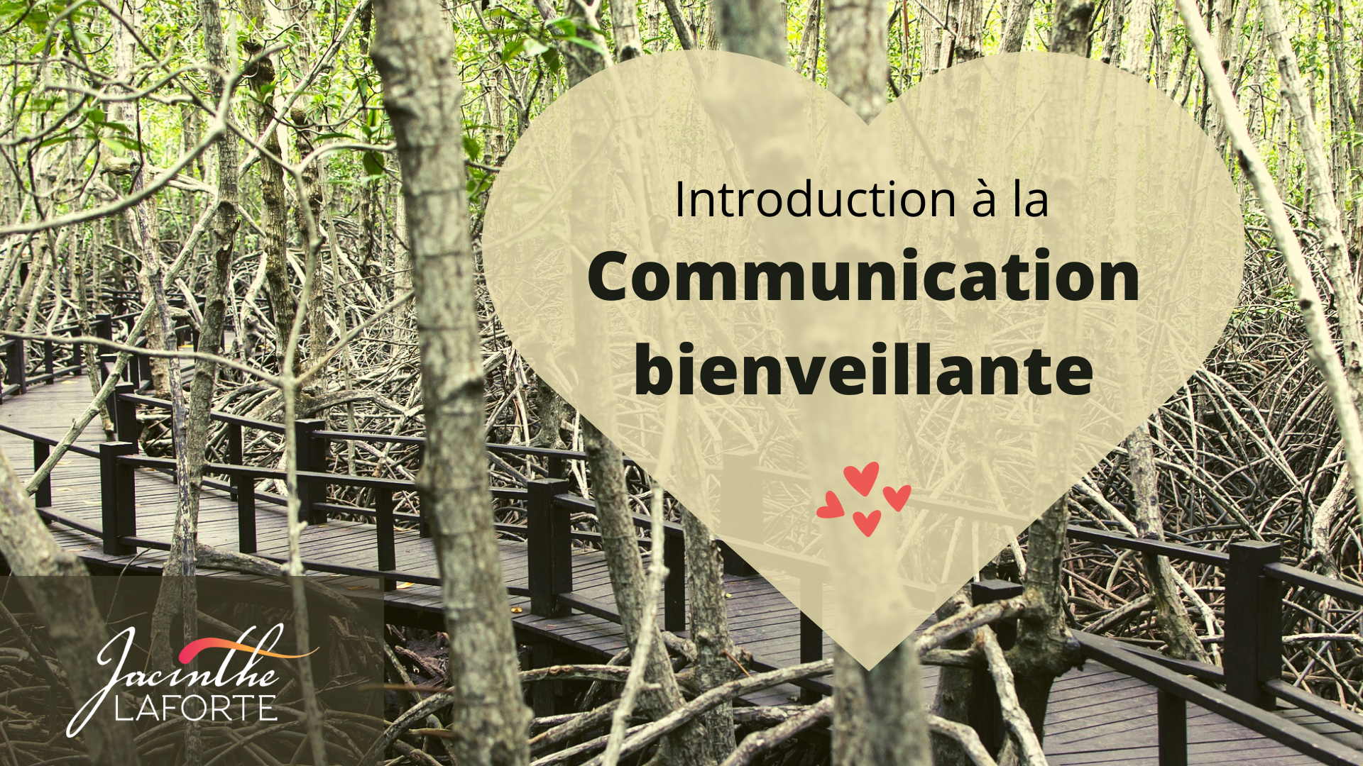 chemin-mangrove-communication-bienveillante