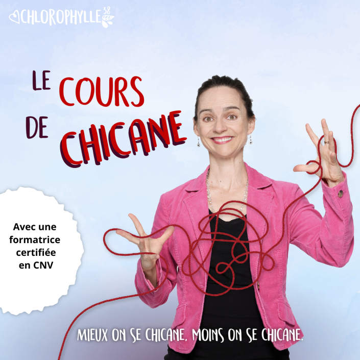 Cours-de-chicane-formatrice certifiée-CNV-Jacinthe-Laforte